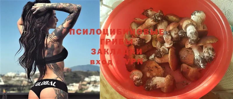 Псилоцибиновые грибы Psilocybe  купить наркотик  Катав-Ивановск 